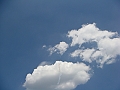 Western Michigan [2010] 317